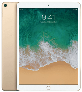 Apple iPad Pro 11 1st Gen 512GB Cellular (Fair Condition)(C+) Renewed - Gold (Battery 85%+)