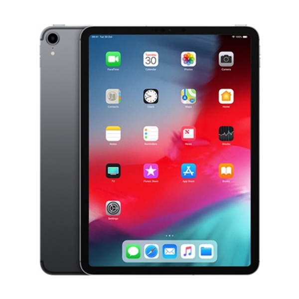 Apple iPad Pro 11 1st Gen 256GB Wifi (Fair Condition)(C+) Renewed - Space Grey (Battery 80%+)